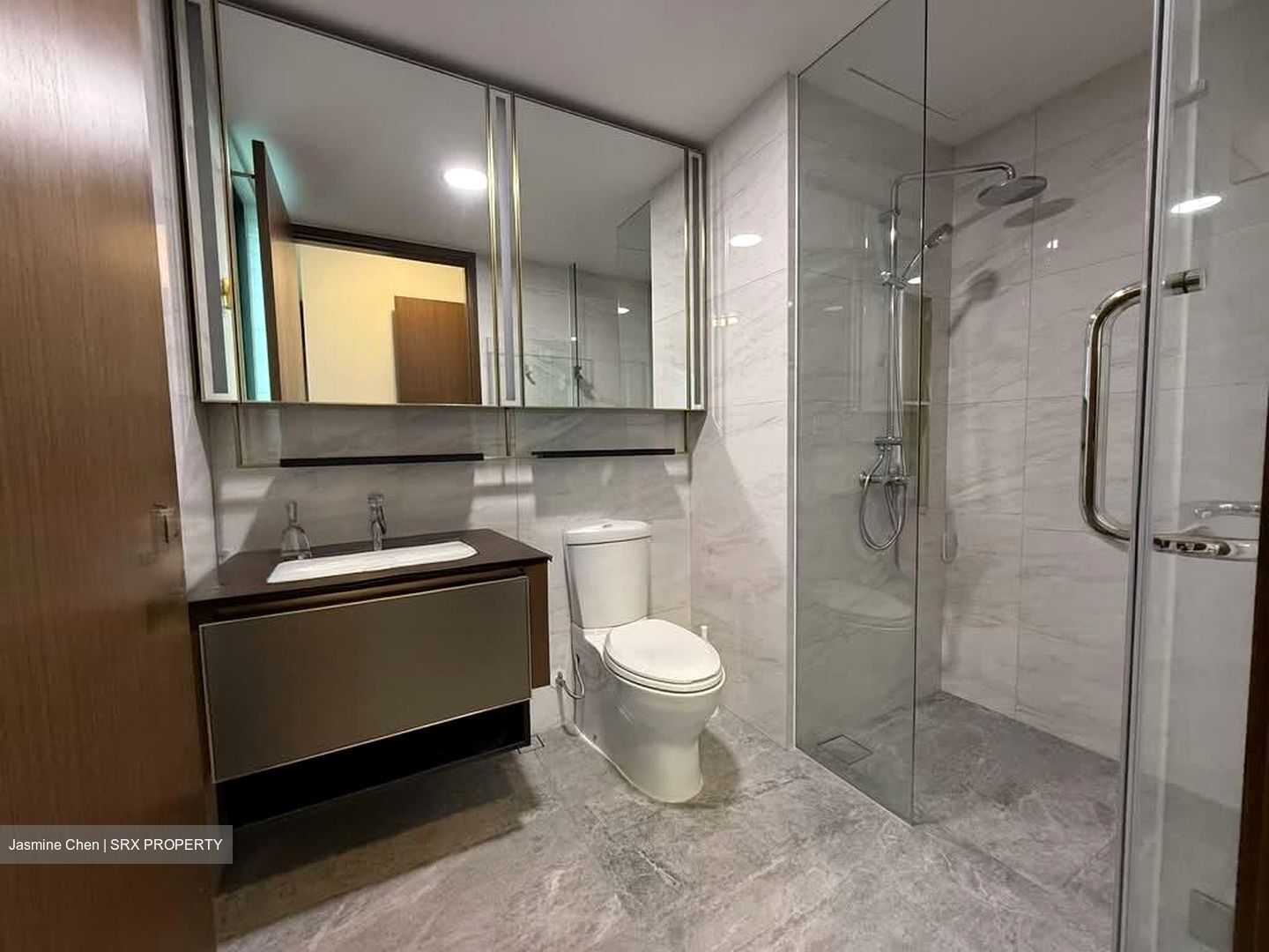 Normanton Park (D5), Apartment #558779011